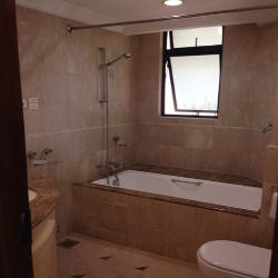 Valley Park (D10), Condominium #53416462